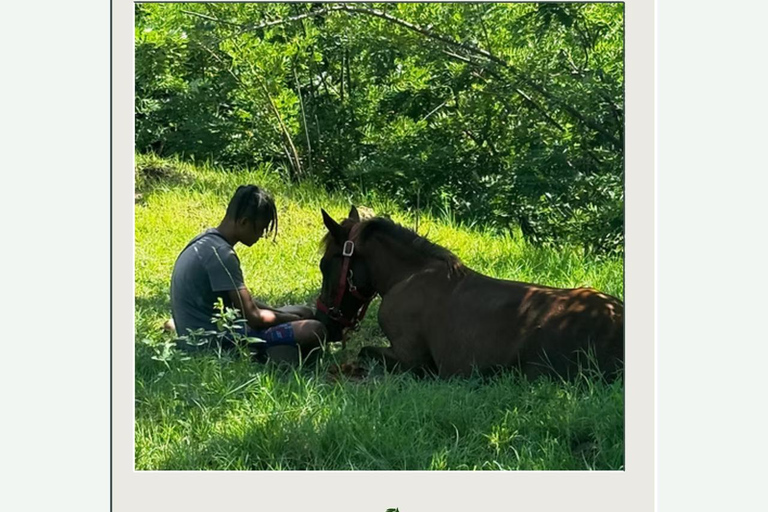 St. Lucia: Private Romance & Rose Horseback Experience