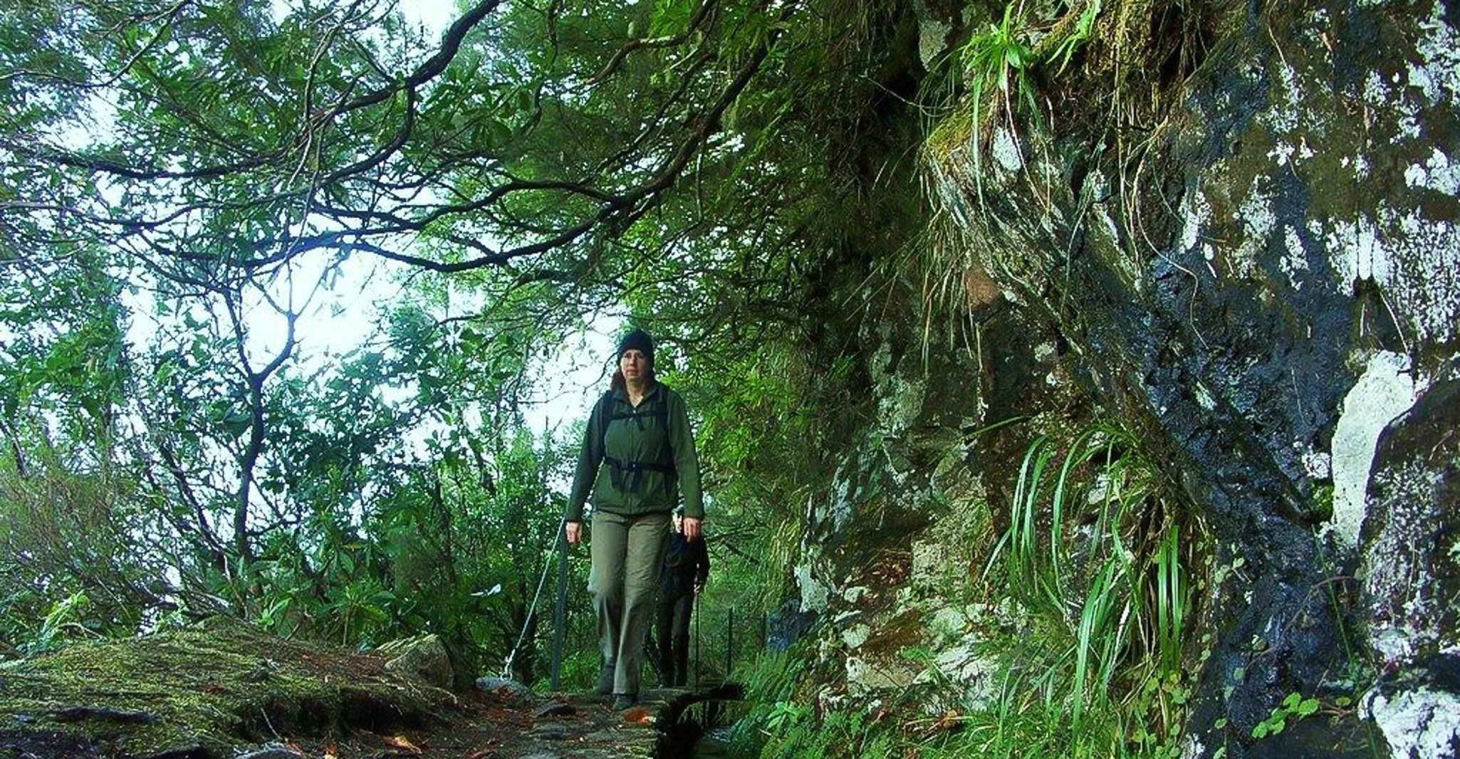 Levada Walk und Caldeirao Verde Wasserfälle, Madeira - Hizvo