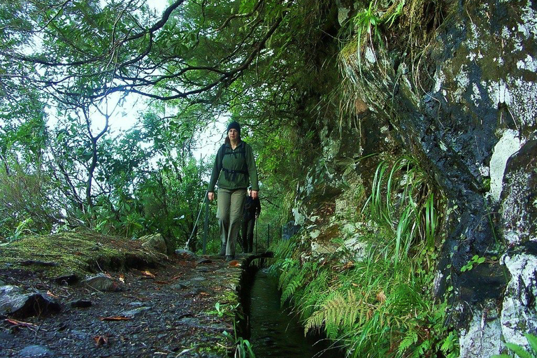 Spacer lewadą i wodospady Caldeirão Verde: Madera