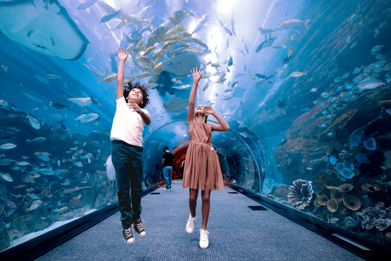 Dubai Aquarium och Underwater Zoo Ultimate Experience