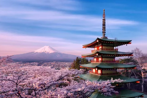 Tokyo: Mt Fuji A Journey Through Nature, History & Culture