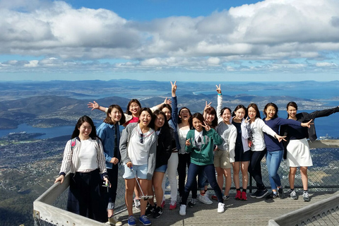 From Hobart: Mt. Field, Mt. Wellington and Wildlife Day Tour