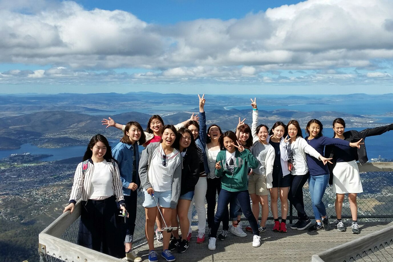 Depuis Hobart : Excursion d'une journée au Mont Field, au Mont Wellington et à la faune sauvage