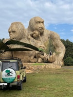 1-Day Mount Bisoke Hike - Housity