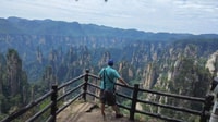 Tour privado de día completo por Zhangjiajie National Forest Park - Housity