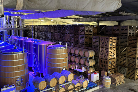 Champagne Day Tour Tours, tastings, and lunch included Champagne Tour Day Tours Tastings Lunch included