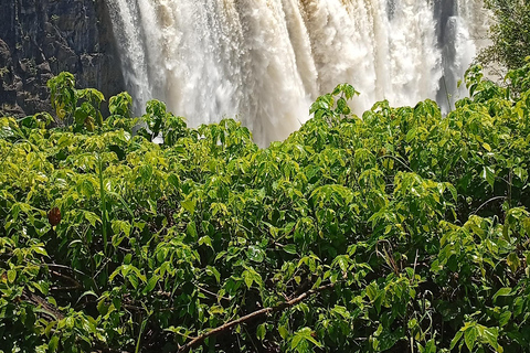 Victoria Falls Tour:Guided Walk with Female Guide
