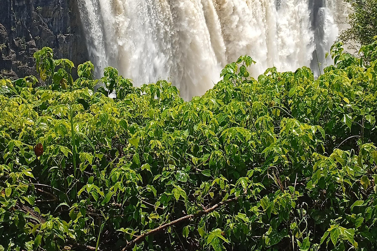 Victoria Falls Tour:Guided Walk with Female Guide