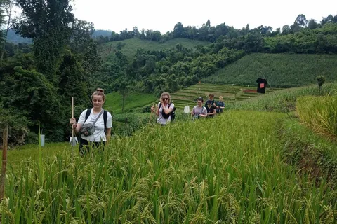 Chiang Mai: Excursión de 2 días por la selva con granja de elefantes y paseo en balsa