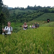 Chiang Mai: 2-Day Jungle Trek with Elephant Farm & Raft Ride