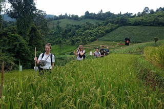 Multi-day Tours and Trips from Chiang Mai