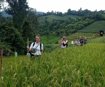 Chiang Mai: 2-Day Jungle Trek with Elephant Farm & Raft Ride