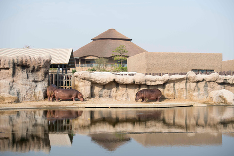 Dubai: Passe de entrada no Dubai Safari ParkPasse para o Safari Park