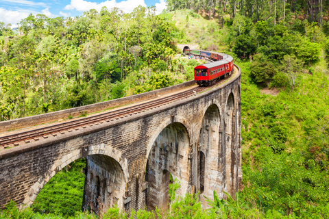 3-Day Private Tour: Sigiriya, Dambulla, Ella With Train Tour