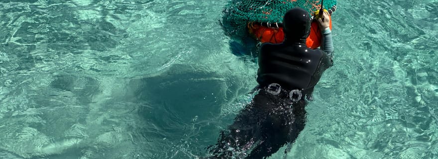 Jeju Est : Visite de Guérison en Petit Groupe avec Spectacle de Plongeuses