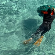Jeju East: Small Group Healing Tour w/Woman Divers Show Jeju East: Small Group Healing Tour w/Woman Divers Show