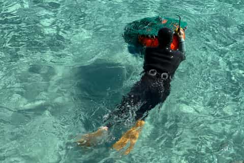 Jeju East: Small Group Healing Tour w/Woman Divers Show - Image 3