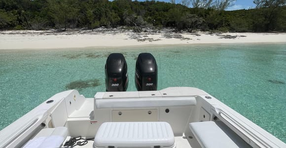 Nassau: 4-Island Boat Trip with Swimming pigs & sea turtles