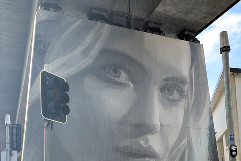 Brisbane: Guided Public and Street Art Walking Tour