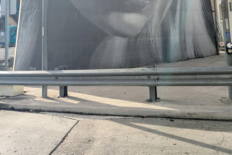Brisbane: Guided Public and Street Art Walking Tour