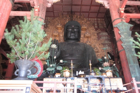 Nara : Budda gigante, cervi liberi nel parco (guida italiana)