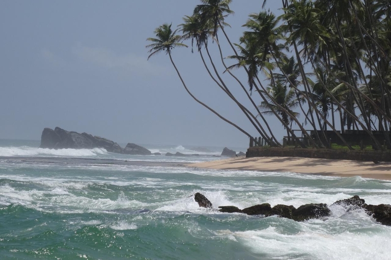Sri Lank Galle tour met 3 uur surfen met een instructeur
