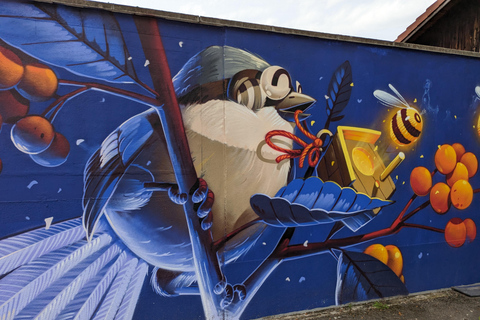 Estrasburgo: Tour a pie por la frontera entre Francia y Alemania