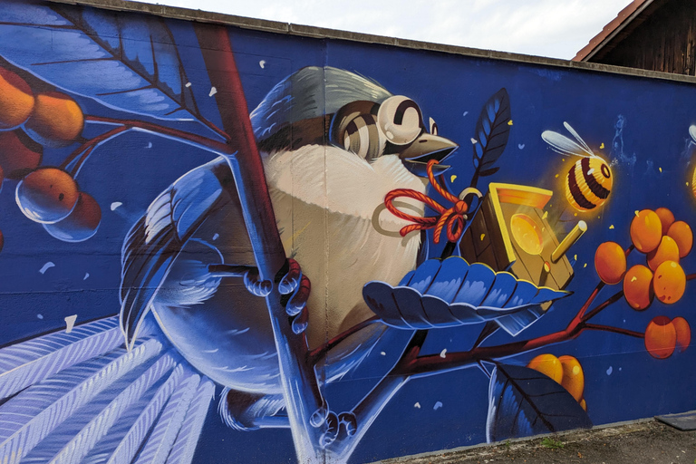 Estrasburgo: Tour a pie por la frontera entre Francia y Alemania