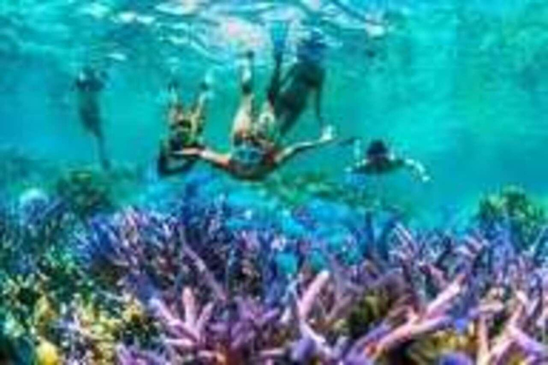 Zanzibar: Full-Day Safari Blue & Blue Lagoon with Snorkeling Shared Safari Blue & Blue Lagoon Tour