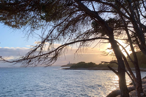 Alcudia: Private boat tour to the lighthouse island
