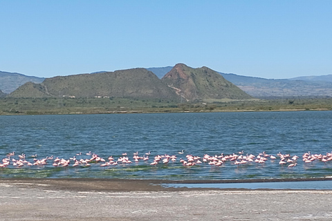 Tagestour zum Lake Elementaita &amp; Lake Naivasha ab Nairobi