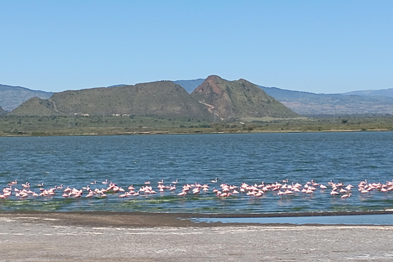 Tagestour zum Lake Elementaita &amp; Lake Naivasha ab Nairobi