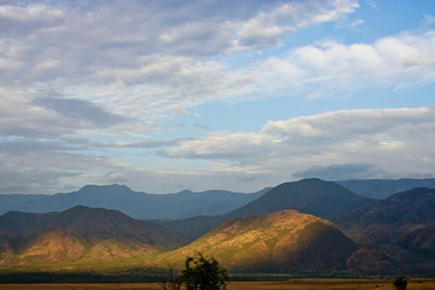 From Addis Ababa: 4-Day Nech Sar N P & Lake Chamo Safari