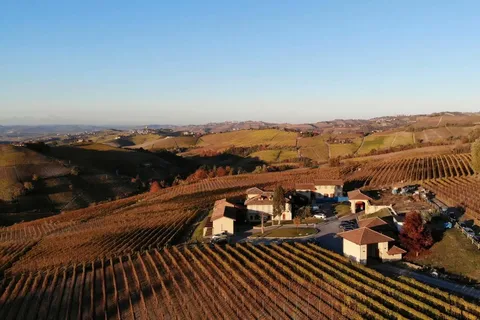 Het beste van de Langhe: Wijnproeverij & traditionele maaltijd