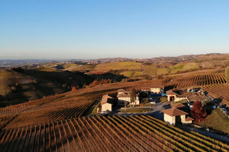 Le meilleur des Langhe : dégustation de vins et repas traditionnel