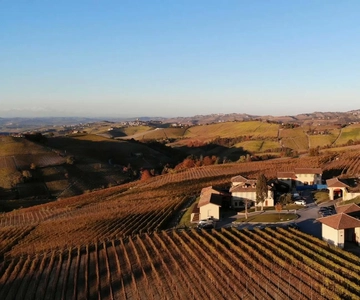 Det beste fra Langhe: Vinsmaking og tradisjonelt måltid