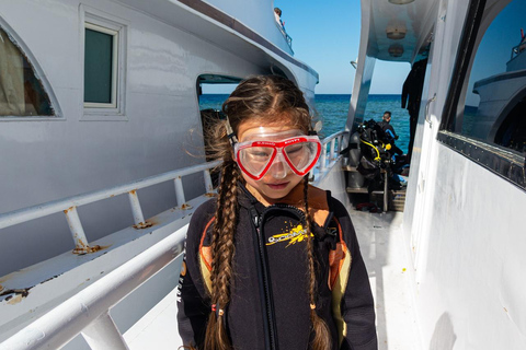 Hurghada: Dive Experience for Beginners or Certified Divers Full-Day Scuba Diving for Certified Divers