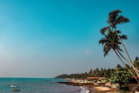 Goa: SIC Noord-Goa sightseeingtour