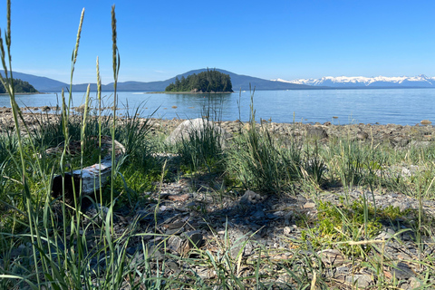 Juneau: Rainforest Photo Safari on a Segway