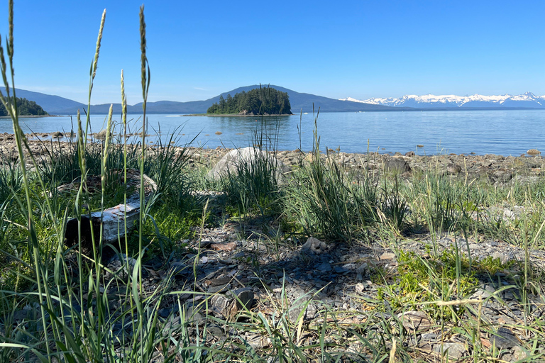 Juneau: Rainforest Photo Safari on a Segway