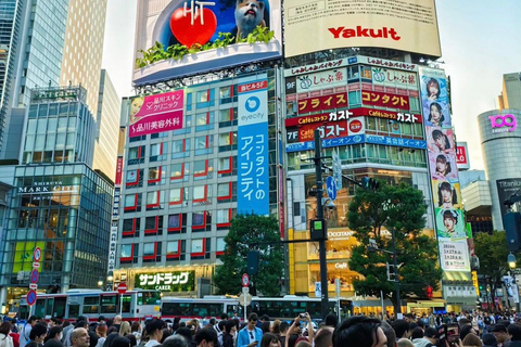 Tour della città di Tokyo con autista parlante inglese.