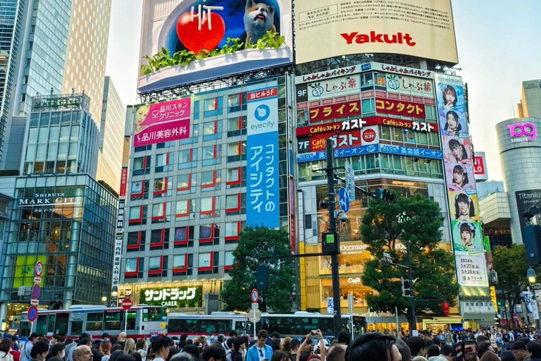 Tokio Stadtführung mit englischsprachigem Fahrer.