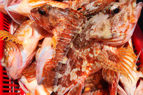 Jeju: verborgen parels, zeebootvisreis met lunchJeju: verborgen parels, zeebootvisvakantie met lunch