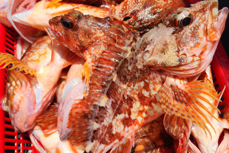 Jeju: verborgen parels, zeebootvisreis met lunchJeju: verborgen parels, zeebootvisvakantie met lunch