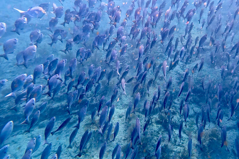 Ft Lauderdale: Combo Deal Snorkel Reefs, Kayak/SUP Mangroves