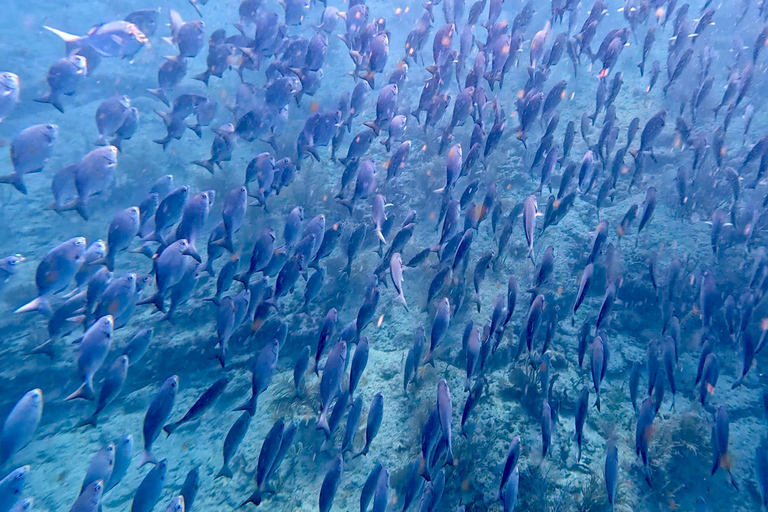 Ft Lauderdale: Combo Deal Snorkel Reefs, Kayak/SUP Mangroves