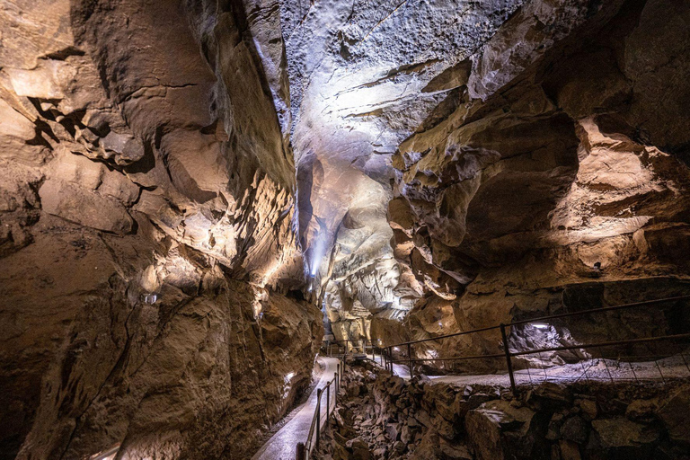 Da Dublino: Scogliere di Moher, crociera in barca e Grotta di Aillwee