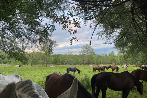 Muscel: The Hidden Trails: Full-Day Horseback Exploration