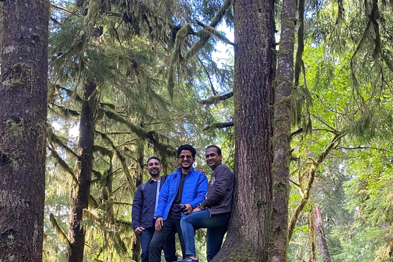 Seattle: Rainforest and Olympic National Park Highlights Olympic National Park: Rainforest, Beach, and highlights