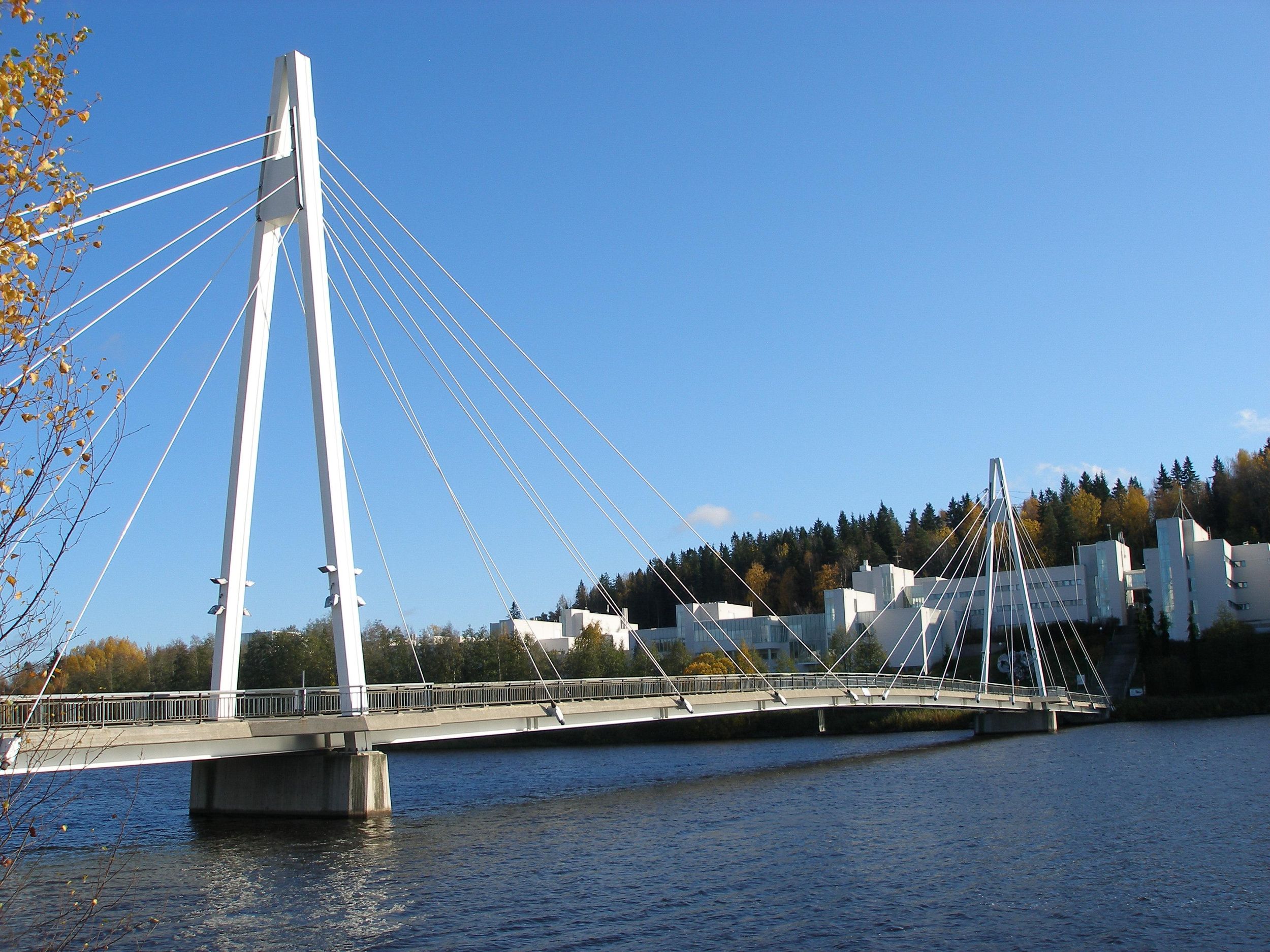 Jyväskylä: Finnisches Homestay-Erlebnis mit Mahlzeiten